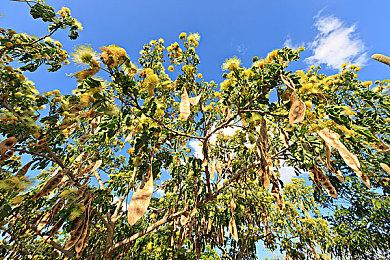 经典恐怖冒险游戏《恐怖美术馆 重制版》现已在Steam平台发售