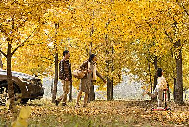 《对马岛之鬼导剪版》Steam版在180个国家被禁止购买